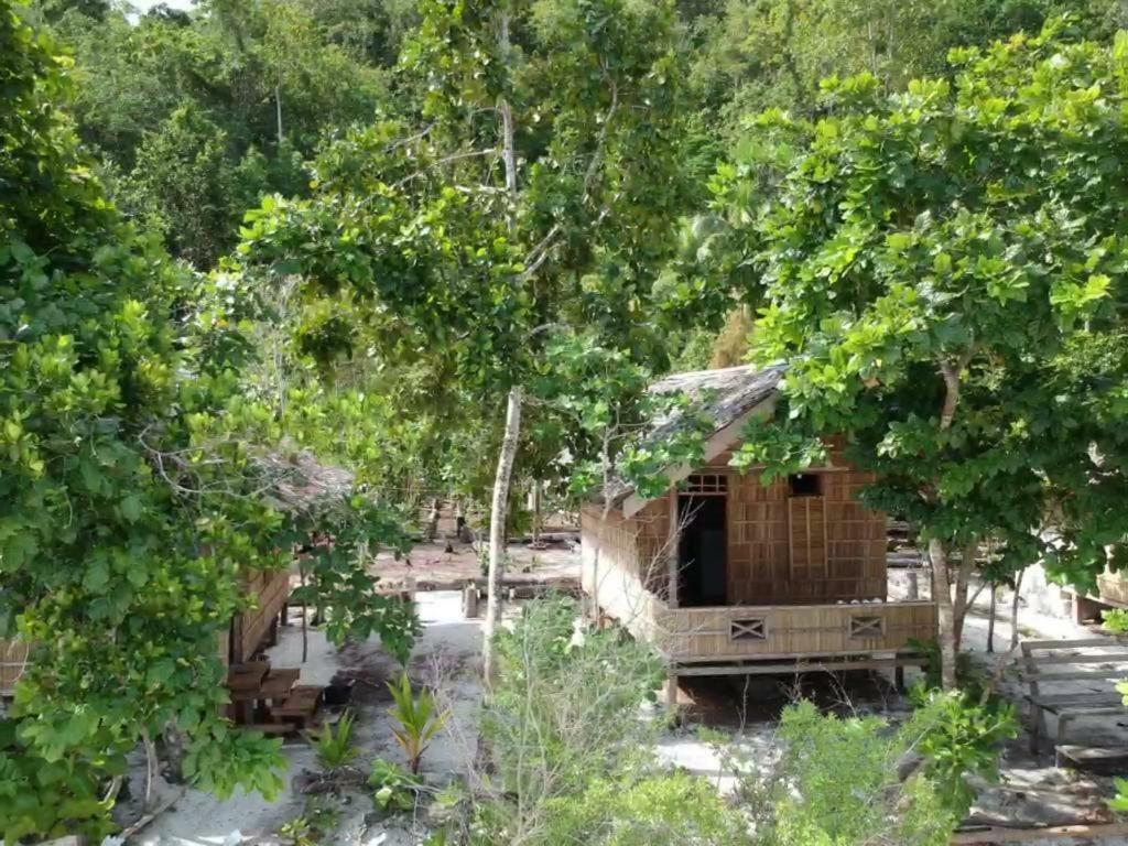 Turtle Dive Homestay Kri Zewnętrze zdjęcie
